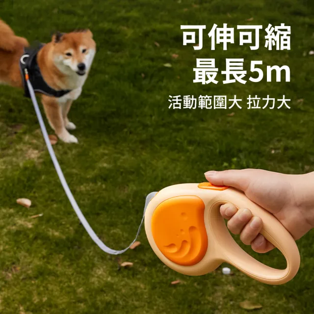 【Bayler】寵物外出自動伸縮牽引繩-5M(耐用防爆沖狗狗牽繩 防走失寵物牽繩 遛狗繩)