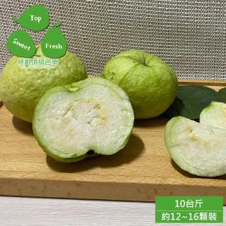 【綠創頂級芭樂】高雄大樹-水蜜芭樂10台斤x1箱(約12-16顆_100%友善耕種_產地直送_冷藏宅配)