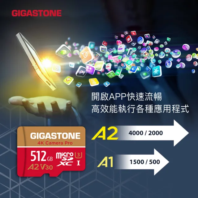 【GIGASTONE 立達】4K Camera Pro microSDXC UHS-Ⅰ U3 A2V30 256GB攝影高速記憶卡-2入組(GoPro/DJI)