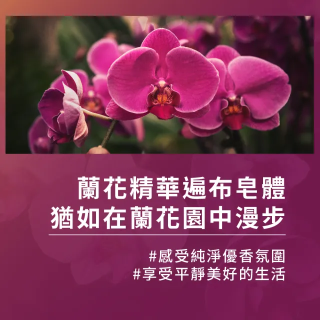 【素顏之本】蝴蝶蘭皂 200g(手工皂/洗臉/香皂/肥皂)