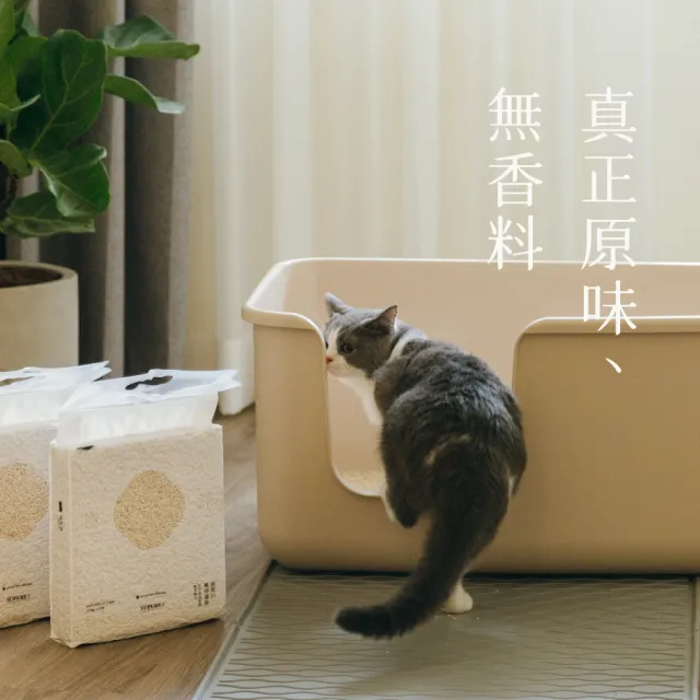 【Meow Servant 喵皇奴】SUPURE ! 極淨貓砂 2.5kg×2箱(6包/箱)