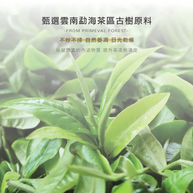 【典慶號】雲南白茶方片/300公克組(普洱茶/古樹/方片/白茶/茶葉)