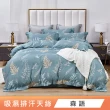 綠的寢飾 石墨烯/萊賽爾 天絲兩用被床包組-單/雙/加/特大(素色&印花多款任選/床高35公分/涼感涼被)