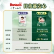【HUGGIES 好奇】小森林尿布 好動褲 M-XXXL/黏貼型 M-XL/好眠褲XL-XXL(紙尿褲/尿布/箱)
