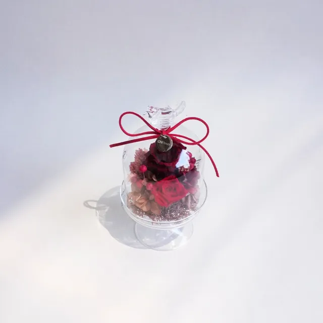 【CNFlower 西恩】戀人蜜語 恆星花禮-紅(永生花/祝福/驚喜)