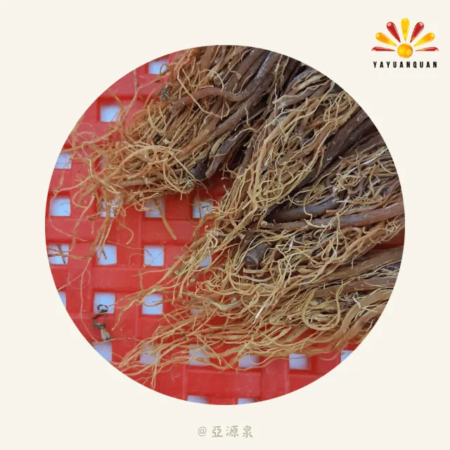 【亞源泉】紅參鬚禮盒 600g/盒 10盒組(贈亞源泉系列商品2包)