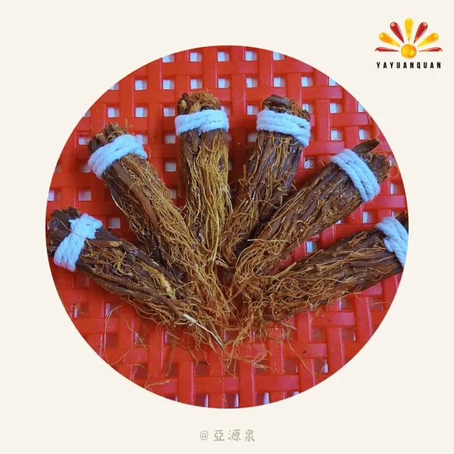 【亞源泉】紅參鬚禮盒 600g/盒 10盒組(贈亞源泉系列商品2包)