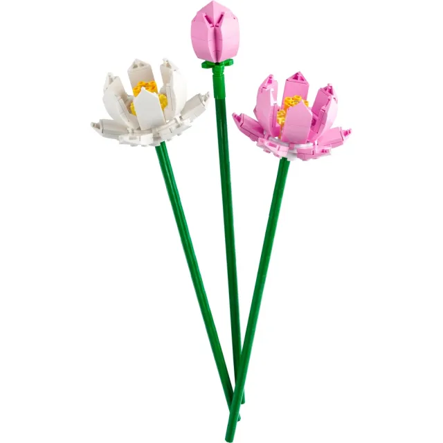 【LEGO 樂高】Botanicals 40647蓮花 & 40725櫻花_2入組(居家擺飾 禮物 花藝 手工藝 情人節禮物)