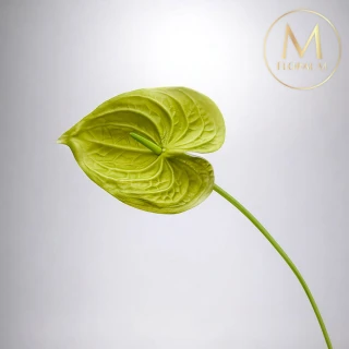 【Floral M】黛安娜心型火鶴綠天使仿真花花材（2入組）(人造花/塑膠花/假花/裝飾花)