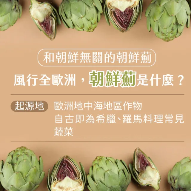 【德國 Natural Fit 活粒適】朝鮮薊萃取膠囊75粒 二入組(素食 含330毫克朝鮮薊萃取物)