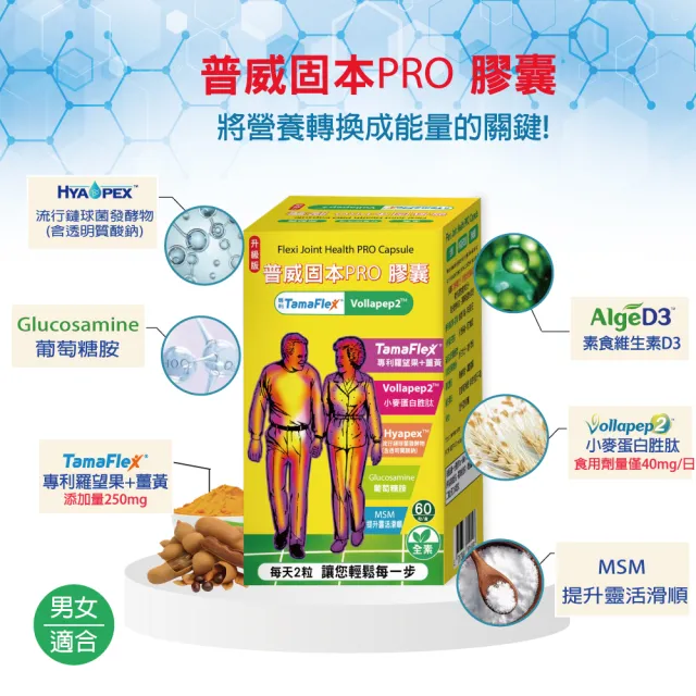 【枸杞家園】加強版普威固本TamaFleX 專利羅望果+薑黃+MSM 膠囊60粒X2瓶全素食(小麥蛋白胜肽40mg)