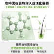 【Plantur 39官方直營】植物與咖啡因洗髮露細軟髮專用500ml(二入組)
