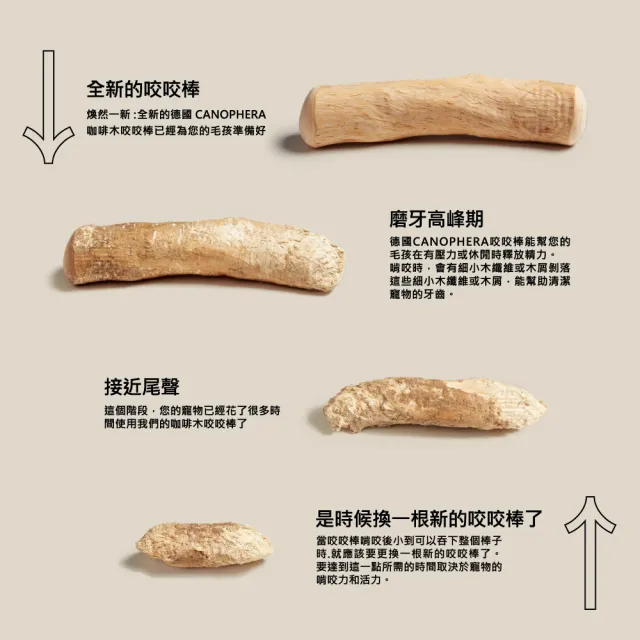 【美好寵商】CANOPHERA 天然咖啡木咬咬棒S號_2入組(咖啡木磨牙棒 寵物玩具 啃咬玩具)
