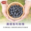 【田食原】MOMO獨家-新鮮智利A級冷凍藍莓2.5kg(500gX5包)檢驗無毒安心 低卡健康餐 冷凍鮮果