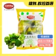 【田食原】IQF鮮凍A級青花菜800gX9包(綠花椰菜 方便覆熱即食 冷凍蔬菜 健康減醣 健身餐 低熱量 超級食物)