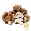 【盛花園蔬果】中秋燒烤蔬食5件組(鮮香菇2盒、杏鮑菇2盒、水果彩椒1盒、茭白筍1袋、玉米筍1盒)