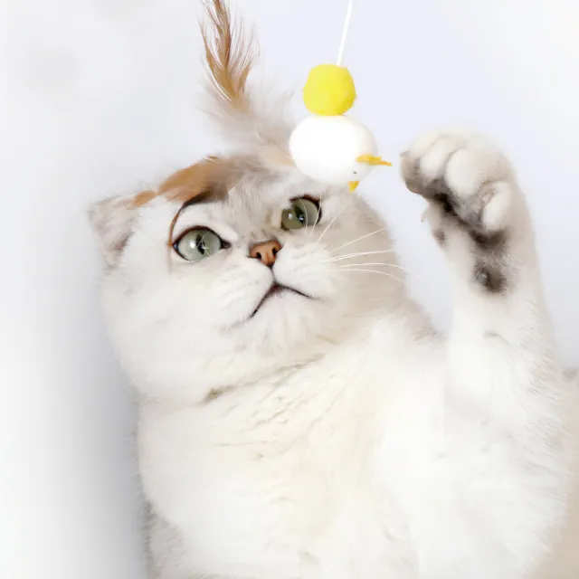 【CattyMan】蠶繭逗貓棒系列(貓玩具)