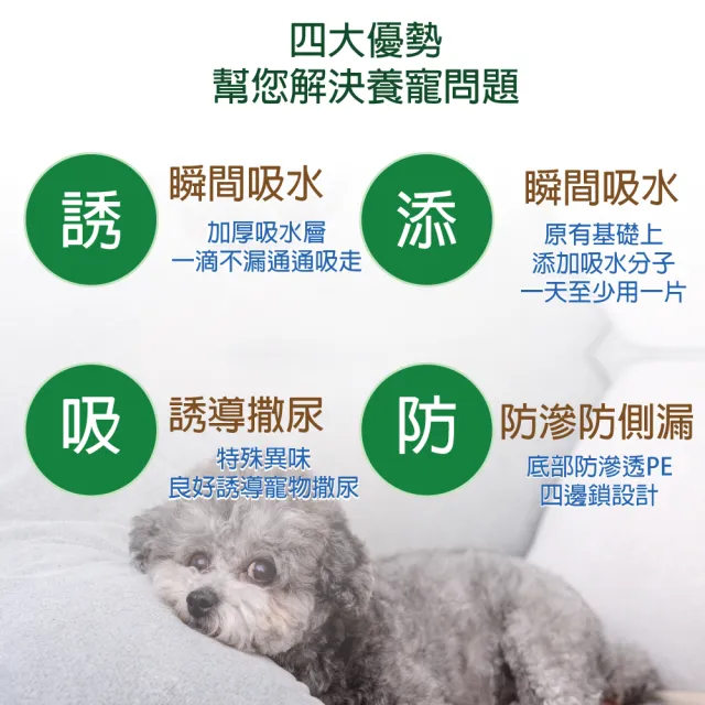 【枸杞家園】寵物尿布墊5層超強吸水單包+光觸媒單瓶組(超厚款寵物尿片/寵物尿墊/3種尺寸)