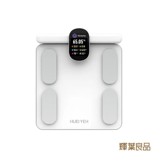 【輝葉】創飛輪健身車+八電極智能體脂計(HY-20151+HYG-P100)(父親節禮物)
