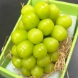 【RealShop】日本岡山晴王麝香大串葡萄淨重500-600g±10%x1房禮盒(送禮精品 真食材本舖 中秋禮盒)