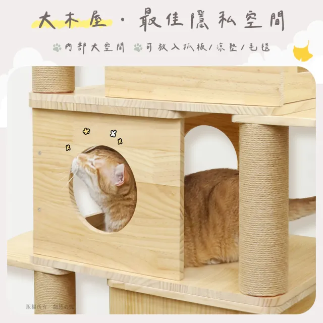 【貓本屋】雙層疊疊樂 實木大貓窩 階梯貓跳台(台灣製)