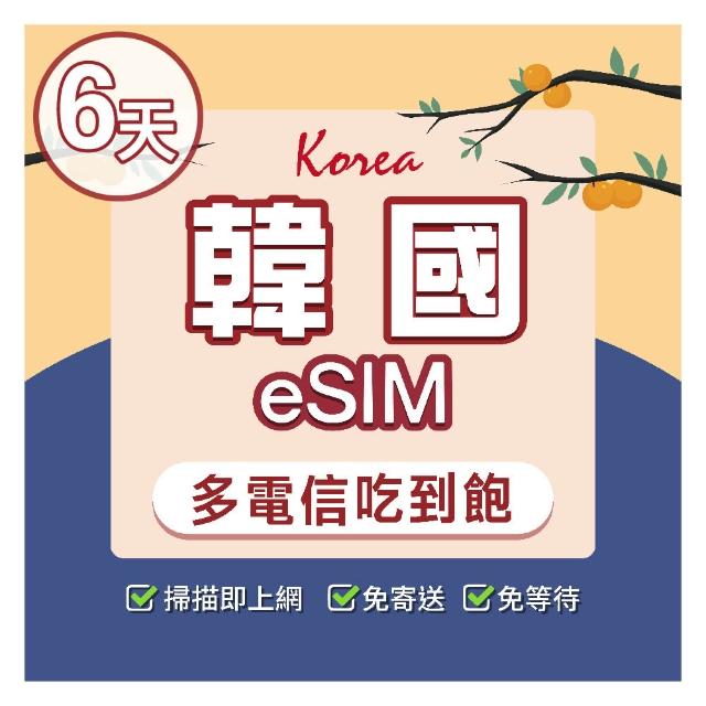 【環亞電訊】eSIM韓國多電信6天吃到飽(24H自動發貨免等待免換卡 esim韓國 虛擬卡 韓國上網卡 環亞電訊)