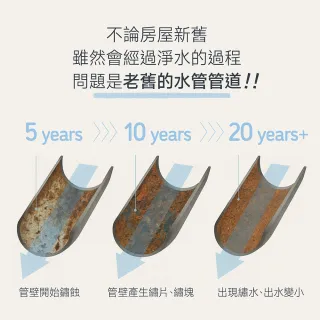 【CHINDAO 清島牌】韓式潔淨款沐浴過濾器(1+11整年份組合共12濾芯)