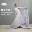 【Tonia Nicole 東妮寢飾】雲朵眠水洗四季被-雙人(多款任選/棉被)