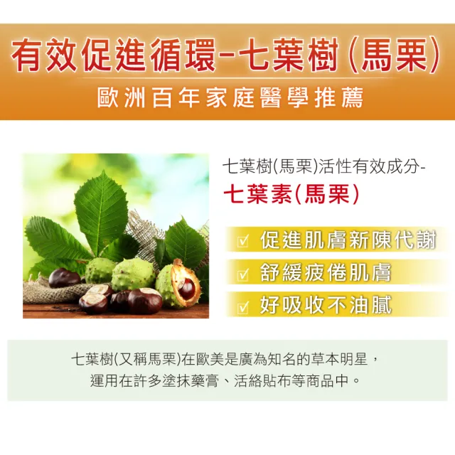 【Heilusan 好立善】七葉樹活絡凝膠-熱感100ml(舒緩放鬆.肩頸按摩.促進循環.7重植萃精華.馬栗.葡萄葉.樟腦)