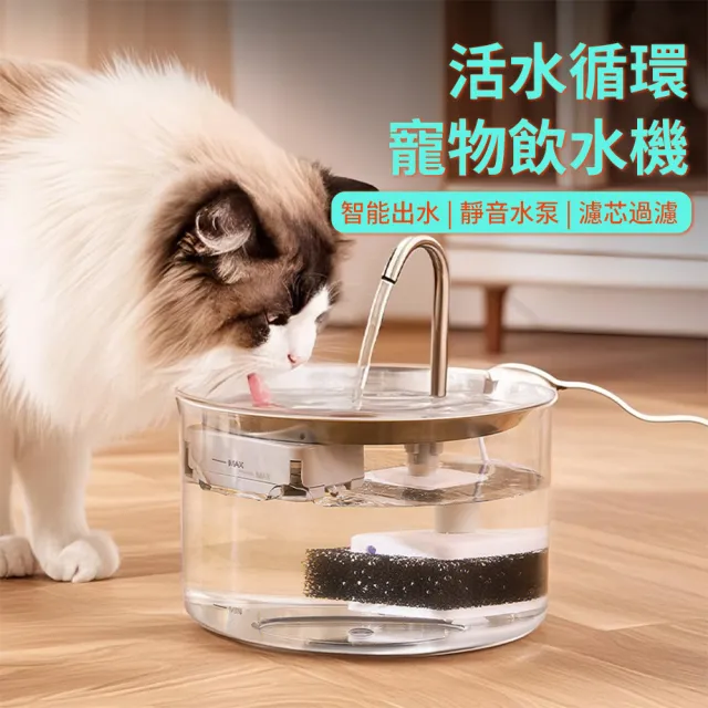 【Ancoy】不鏽鋼寵物飲水機 貓咪狗狗循環過濾活水機 3000ML大容量寵物飲水器 靜音毛孩喝水器 寵物餵水器