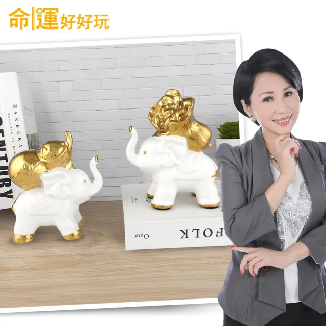 【命運好好玩】李玉珮-百財福祿金象擺鎮(入厝禮)（其他規格）