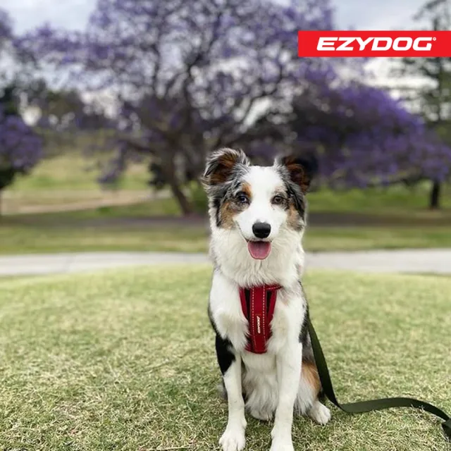 【EZYDOG】狗體工學胸背帶 素色系 L號(送400元寵物車用束帶 寵物胸背帶 H型胸背帶 寵物用品 牽繩)