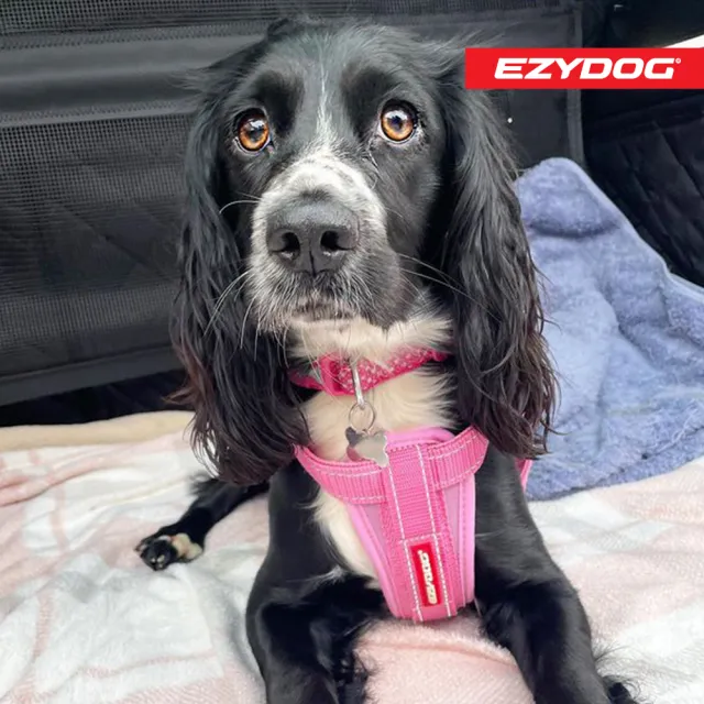 【EZYDOG】狗體工學胸背帶 素色系 XXS號(送400元寵物車用束帶 寵物胸背帶 H型胸背帶 寵物用品 牽繩)