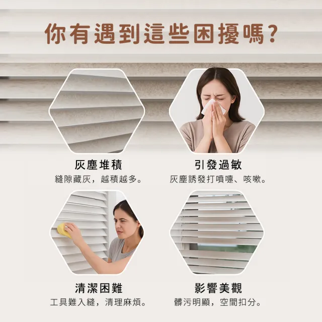 【工具王】買一送一 窗戶刷 車用清潔刷 清潔刷 百葉窗刷子 冷氣刷子 冷氣清潔刷(630-BCB*2 百葉窗除塵刷)