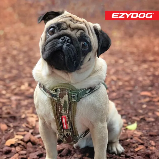 【EZYDOG】狗體工學胸背帶 特殊色 M號(送400元寵物車用束帶 寵物胸背帶 H型胸背帶 寵物用品 牽繩)