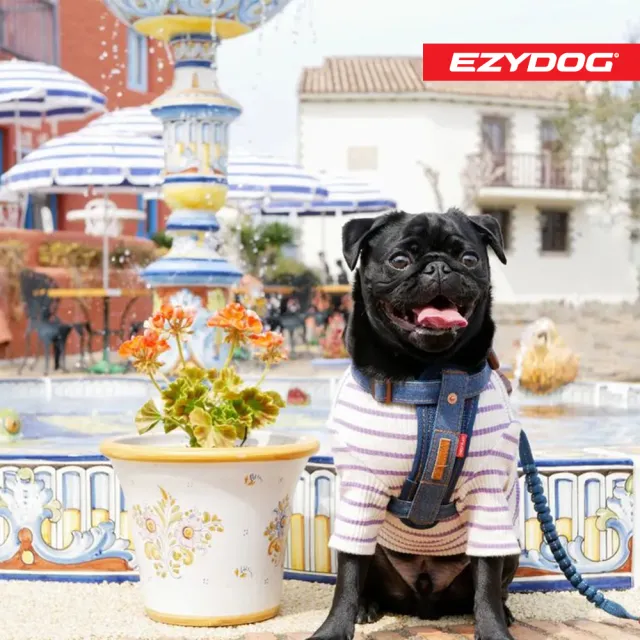 【EZYDOG】狗體工學胸背帶 丹寧 M號(送400元寵物車用束帶 寵物胸背帶 H型胸背帶 寵物用品 牽繩)