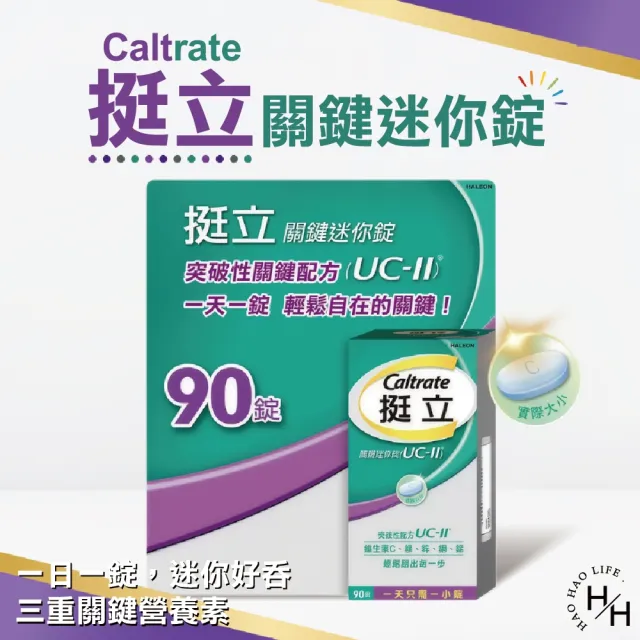 【挺立】關鍵迷你錠 90錠