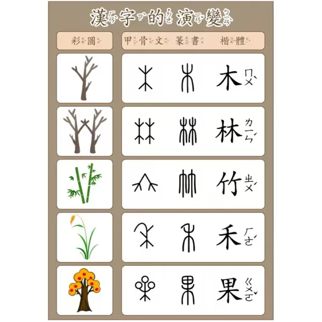 【子玄】漢字演變圖卡 甲骨文到楷書演化  認字教具(視覺化學習神器 甲骨文教具 認字教材)