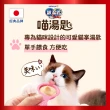 【Unicharm Pet 銀湯匙】喵湯匙肉泥 10入*4包/組(多種口味/貓零食/寵物零食)