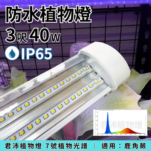 【JIUNPEY 君沛】3呎 40W 7號光譜 植物燈管 防水型雙排燈芯設計(植物生長燈 三防燈 鹿角蕨適用)
