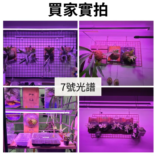 【JIUNPEY 君沛】2呎 25W 7號光譜 植物燈管 防水型雙排燈芯設計(植物生長燈 三防燈 鹿角蕨適用)