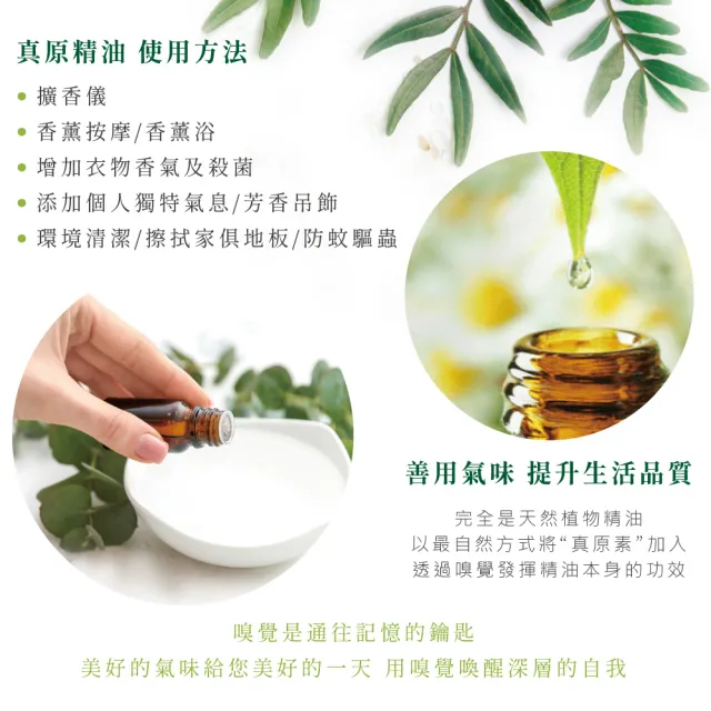 【安美生醫X長庚生物科技】真原精油紓壓防護組(擴香儀1台+單方精油*3瓶組)