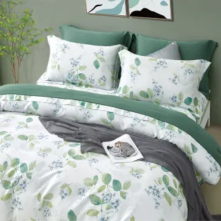 【Grace Life】60支100%天絲床包枕套三件組 頂級精緻系列 多款任選(雙人/加大)