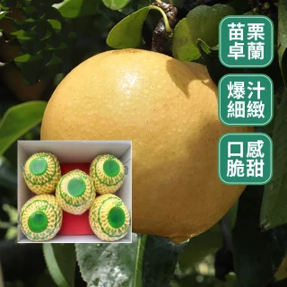 【MOMO獨家 水果達人】苗栗卓蘭爆汁大顆高接梨禮盒5顆*1箱(600g-720g±10%/顆)