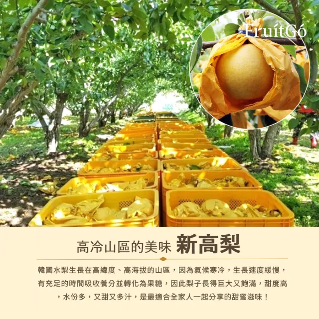 韓國進口脆甜噴汁超大新高梨