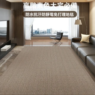 【巨匠】地毯 客廳高級感免洗可擦地毯 沙發防水地墊(180*250CM地毯 地墊)