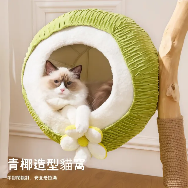 【銘利萊】青椰貓爬架 家用實木貓窩 貓樹一體跳臺 小戶型寵物傢俱(不佔地貓爬架子 絨墊可拆換)