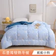 【日禾家居】石墨烯發熱保暖可水洗雙人被2.5KG 棉被 冬被(多色任選)