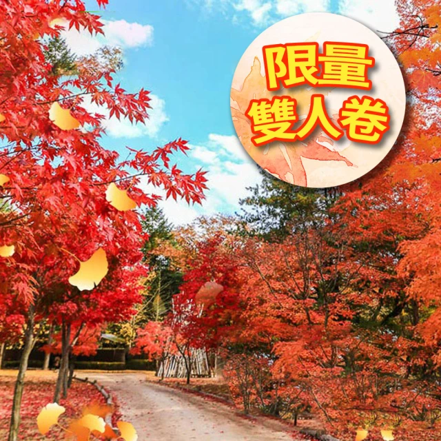 【11月買1送1雙人出發★】清易秋遊趣五日南漢山城道立公園.愛寶樂園.美人魚秀.塗鴉秀(早去晚回足五天)