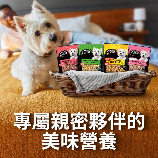 【Cesar 西莎】狗點心 80g/100g 寵物/狗零食/狗食/日本進口